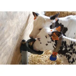 Abreuvoir PF1 POLYFIRST