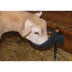 Abreuvoir PF1 POLYFIRST