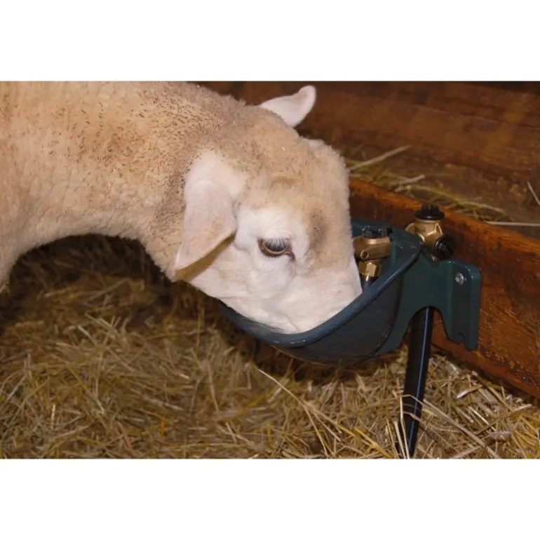 Abreuvoir PF1 POLYFIRST