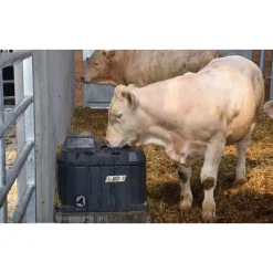 Abreuvoir POLYTHERME 1 boule