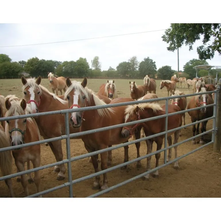 Barrière de pré extensible 2/3 m