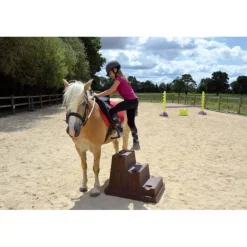 Cavaletti-montoir EASY-STEP* 2 marches