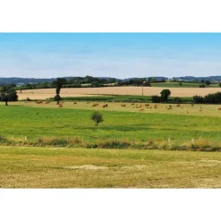 Citerne monobloc rectangulaire 5000 L