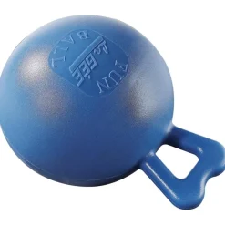 Fun ball