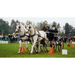 Jeu de cônes et balles d'attelage