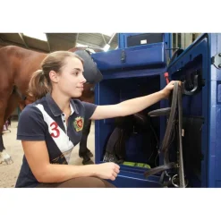 Malle de concours verticale chevaux de selle