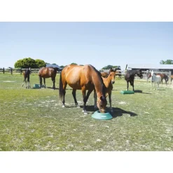 Mangeoire de prairie circulaire à lester