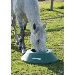 Mangeoire de prairie circulaire à lester